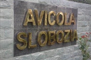 Avicola Slobozia